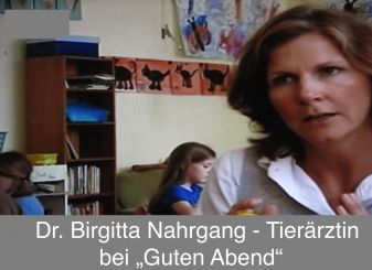 RTL begleitete Dr. Birgitta Nahrgang zu einer Unterrichtsstunde „Hundisch – Hundesprache für Kinder“ in die Grundschule Köln-Rath.